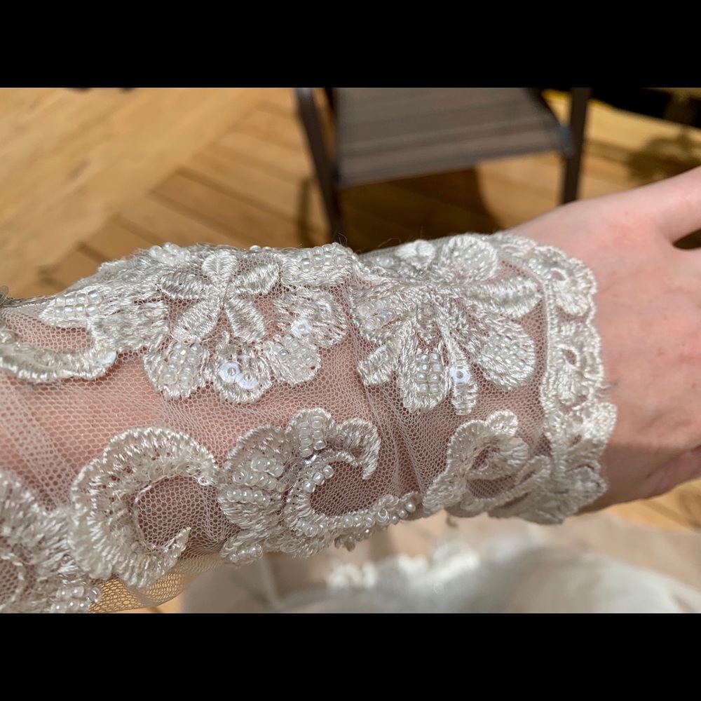 Wedding Gown - Picture 10 of 11